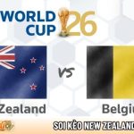soi kèo New Zealand vs Bỉ